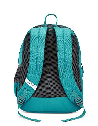 Skybags Casual Backpack 28L - alphahostel.in