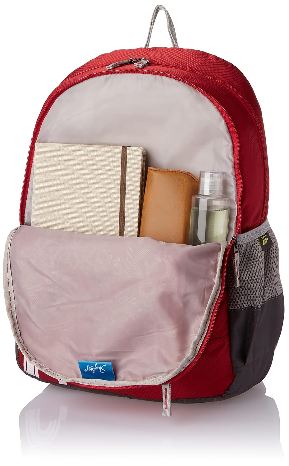 Skybags Casual Backpack 28L - alphahostel.in