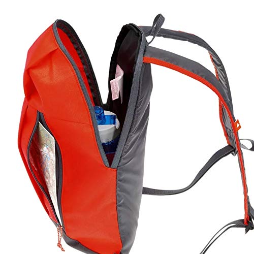 DZert 1 Day Hiking Backpack for Boys/Girl (10L) - alphahostel.in