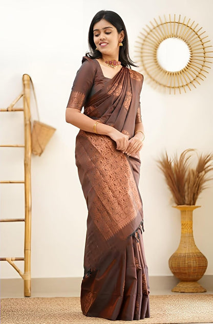 Banarasi SilkSaree With Litchi Silk Unstitched Blouse