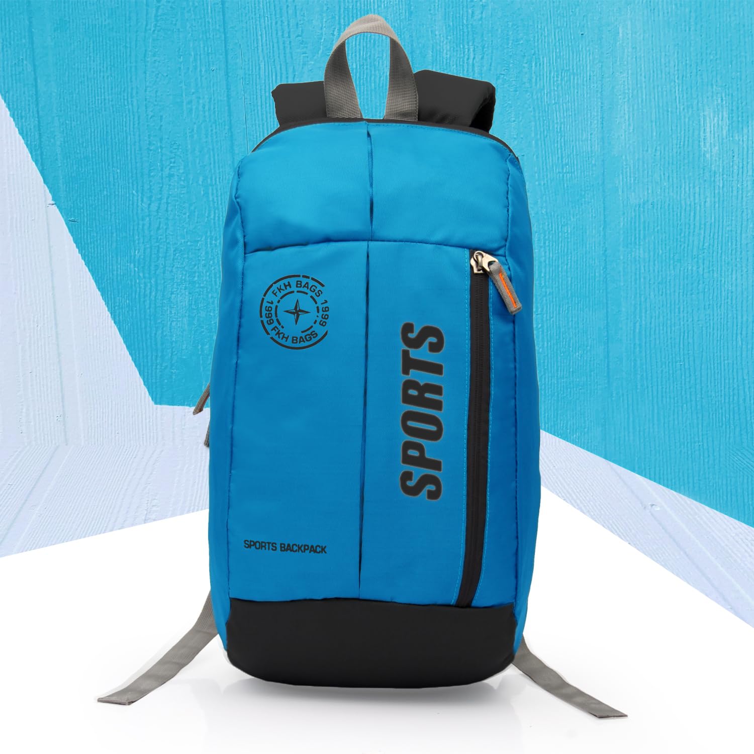 WORLD STAR Large Laptop Backpack/Office Bag - alphahostel.in