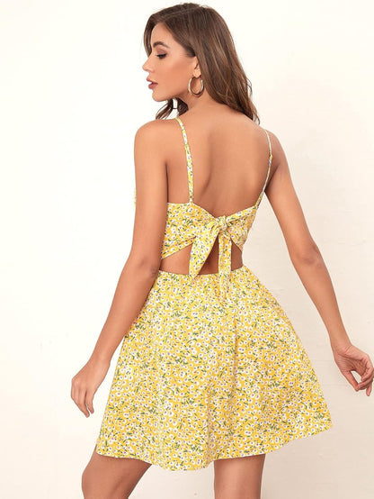 Aahwan Women's Fit And Flare Mini Dress